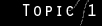 Topic 1