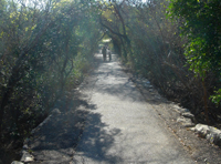 Nature Trail