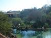 scenic view